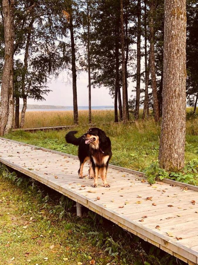 Bebru Maja - Beaver House ウスマ エクステリア 写真