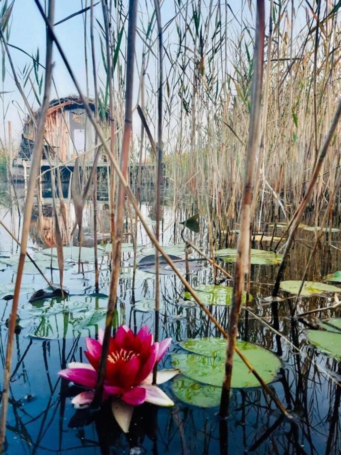 Bebru Maja - Beaver House ウスマ エクステリア 写真
